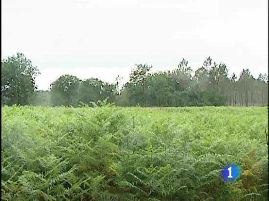  - Zulo de ETA en Francia