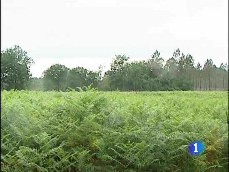 Unos obreros encuentran en el suroeste de Francia un zulo de ETA | Ver