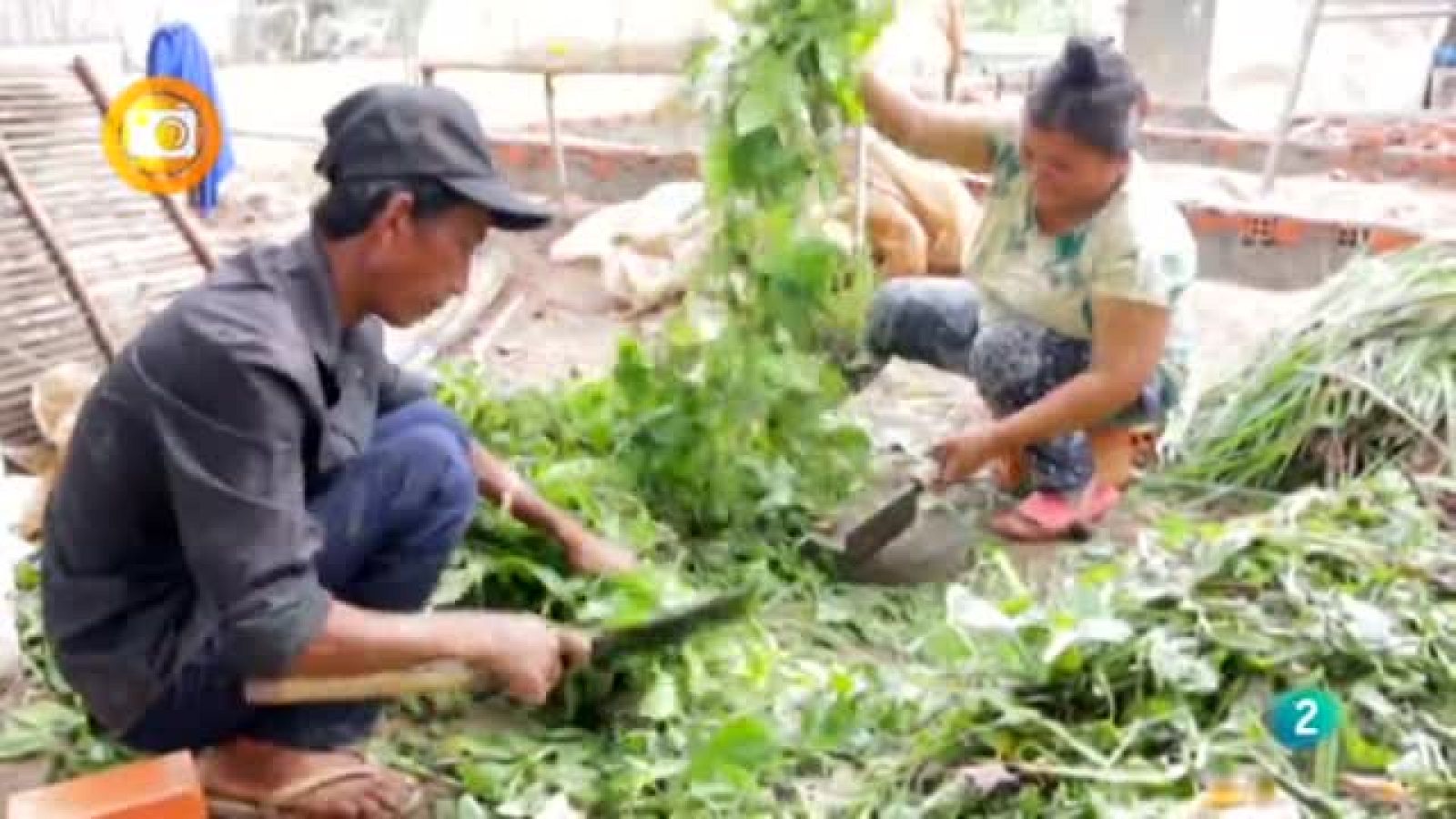 En primer plano, Agricultura familiar