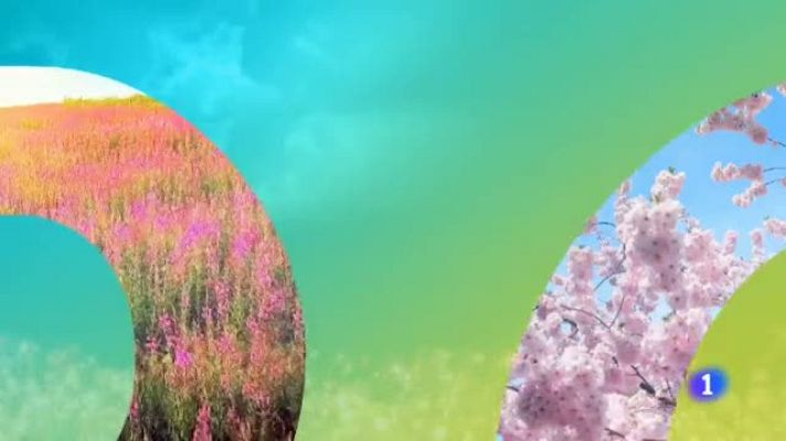 TeleCantabria - El tiempo en Cantabria - 03/06/19