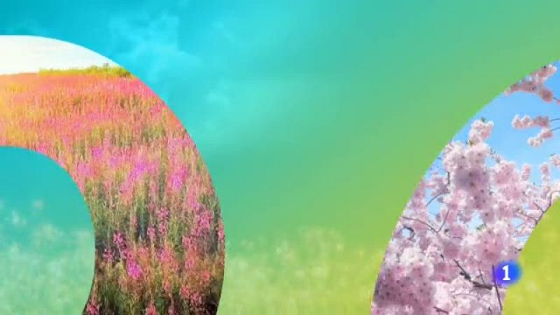 El tiempo en Aragón - 3/06/2019 | Ver