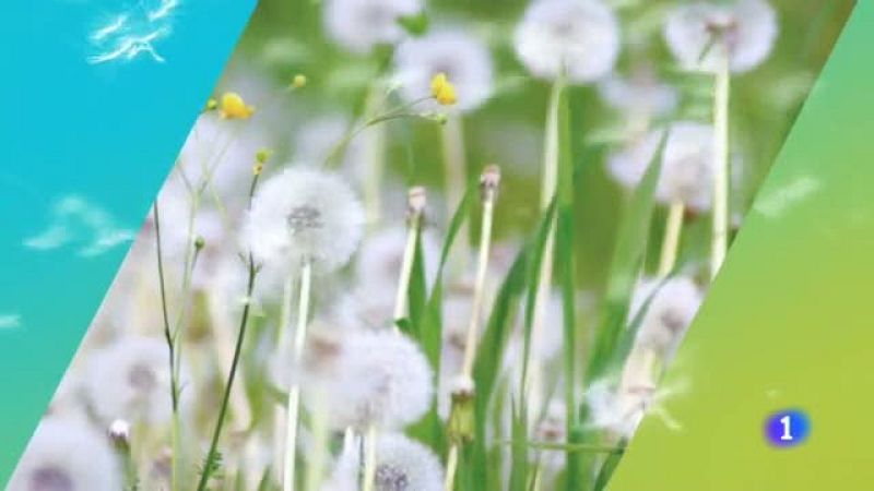 El tiempo en Cantabria - 05/06/19