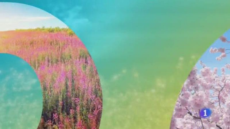 El Tiempo en Castilla-La Mancha - 05/06/19 | Ver