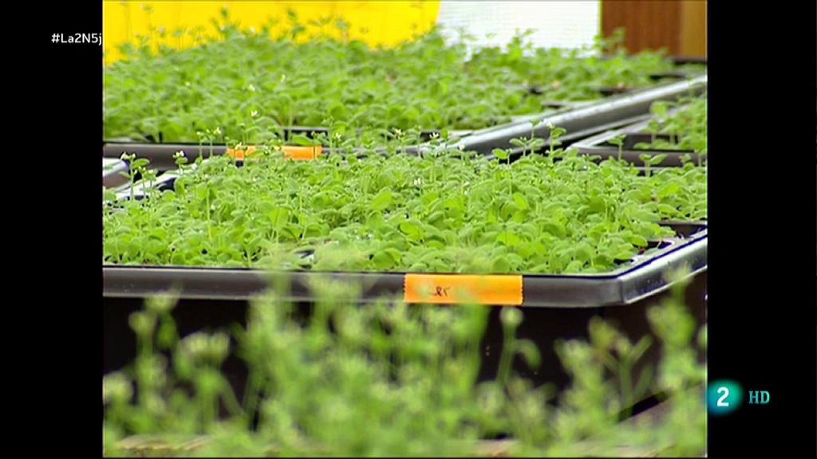 Princesa de Asturias de Investigación Científica y Técnica 2019