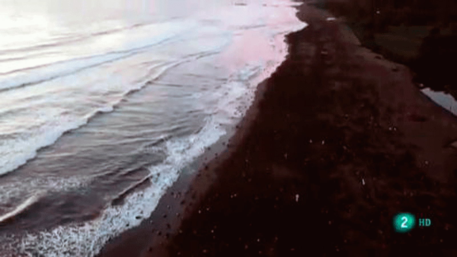 La aventura del saber. Innoceana Carlos Mallo WWF