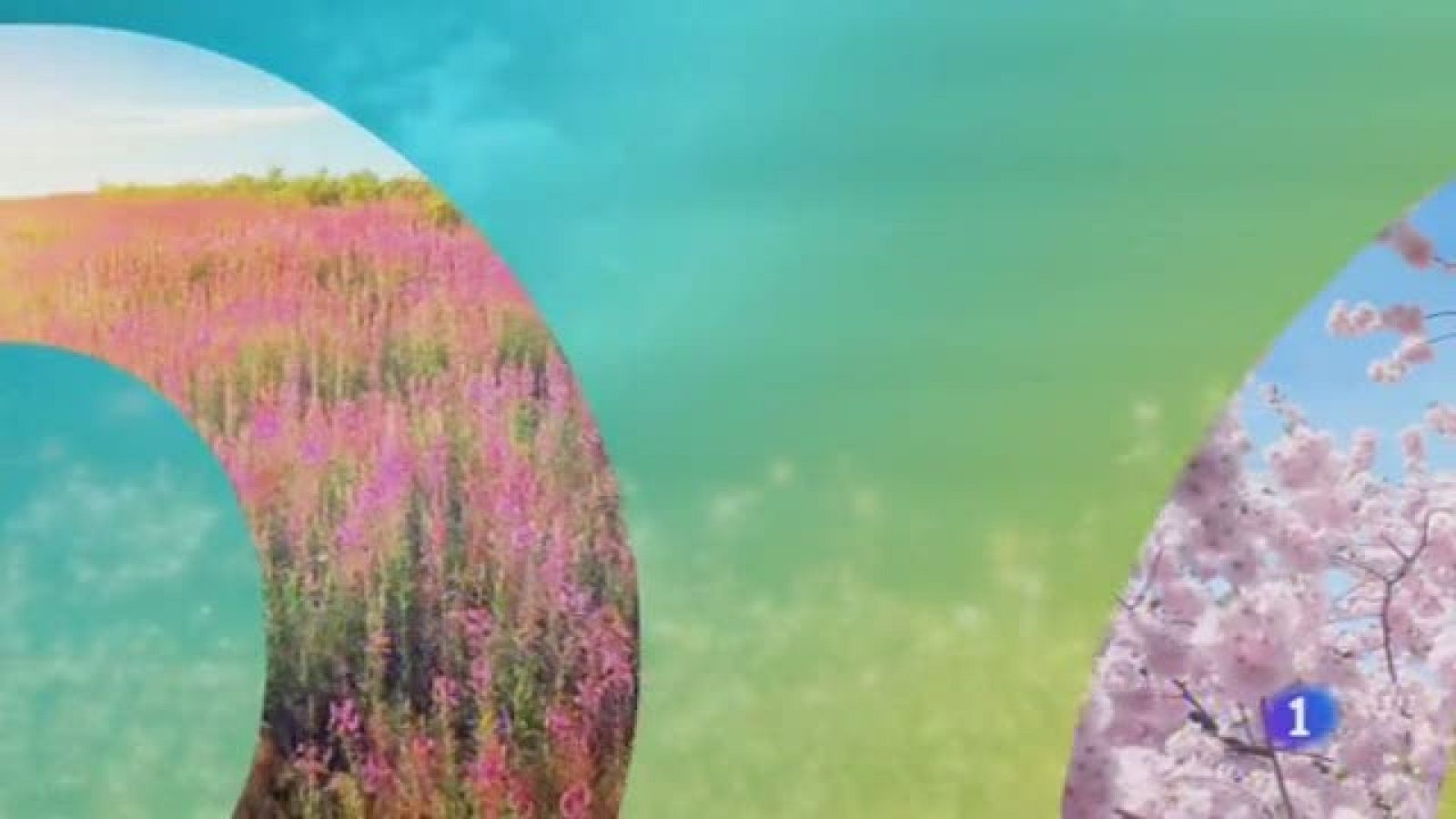 El Tiempo en Castilla-La Mancha - 06/06/19 | Ver