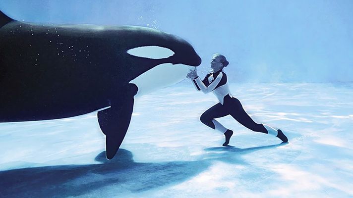 Otros documentales - Blackfish