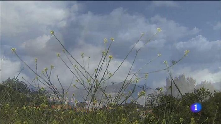 L'Informatiu - El Temps - 07/06/2019