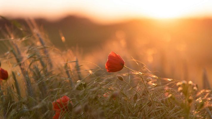 El tiempo - Lluvias en el norte del país y despejado en el resto