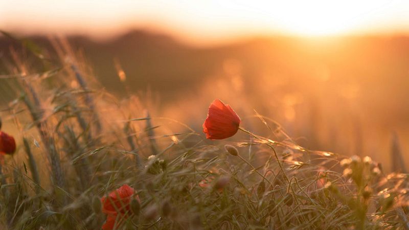 Lluvias en el norte del país y despejado en el resto