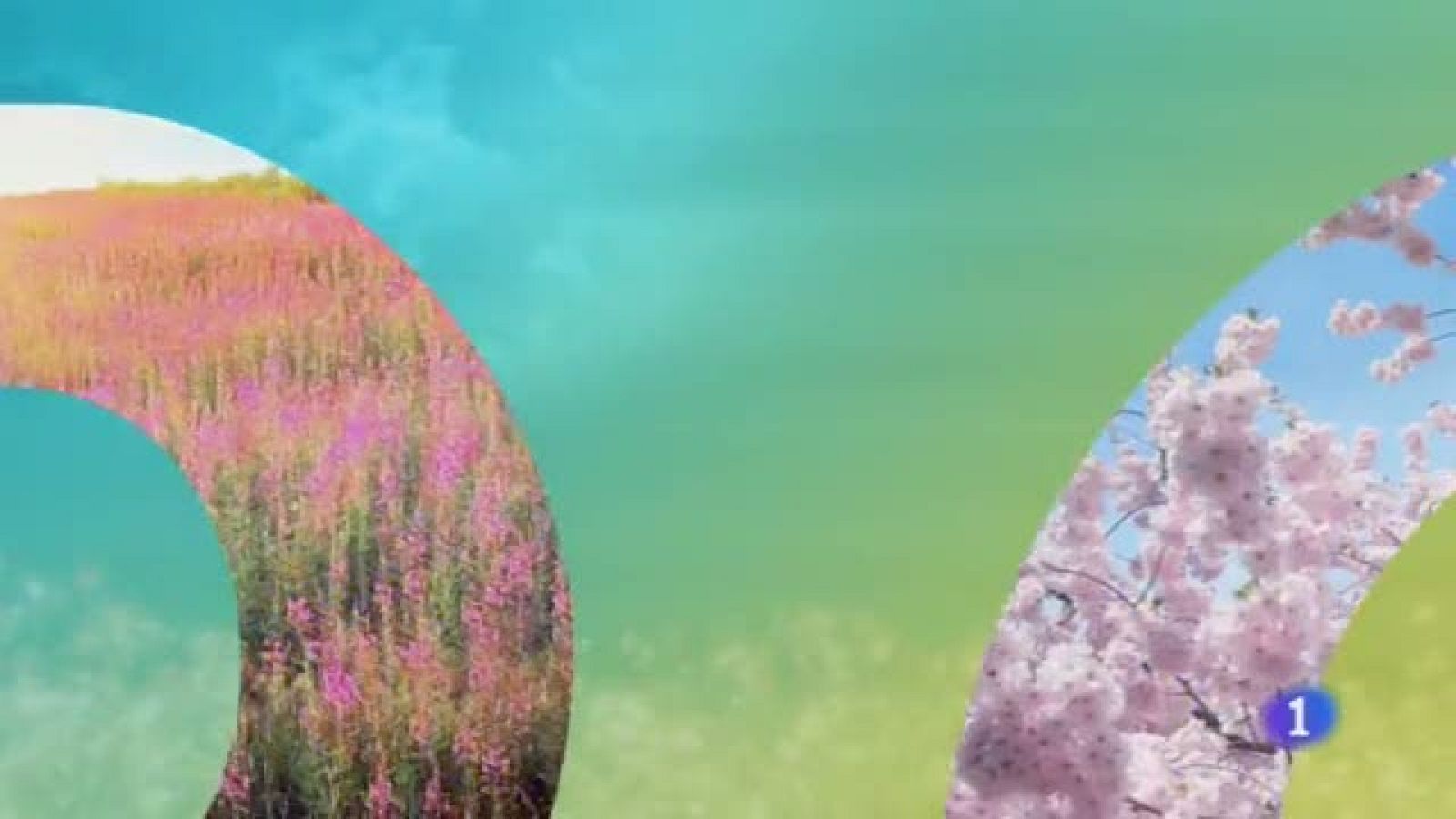 El tiempo en Castilla-La Mancha - 10/06/19 | Ver