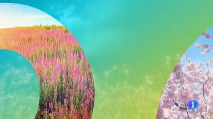 Telenorte - País Vasco - El tiempo en el País Vasco - 10/06/19