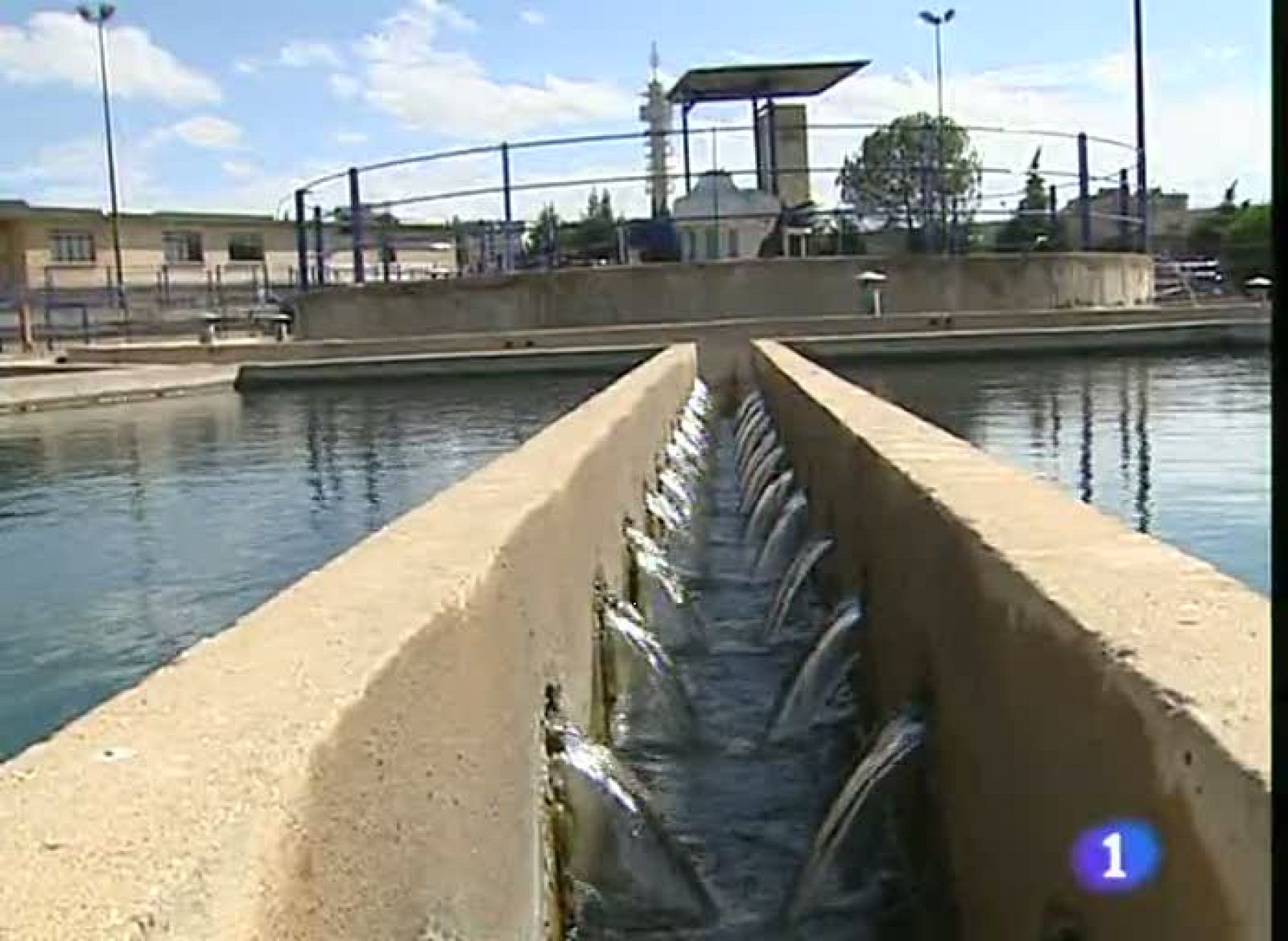 Noticias Aragón. Informativo Territorial de Aragón.(17/06/09)