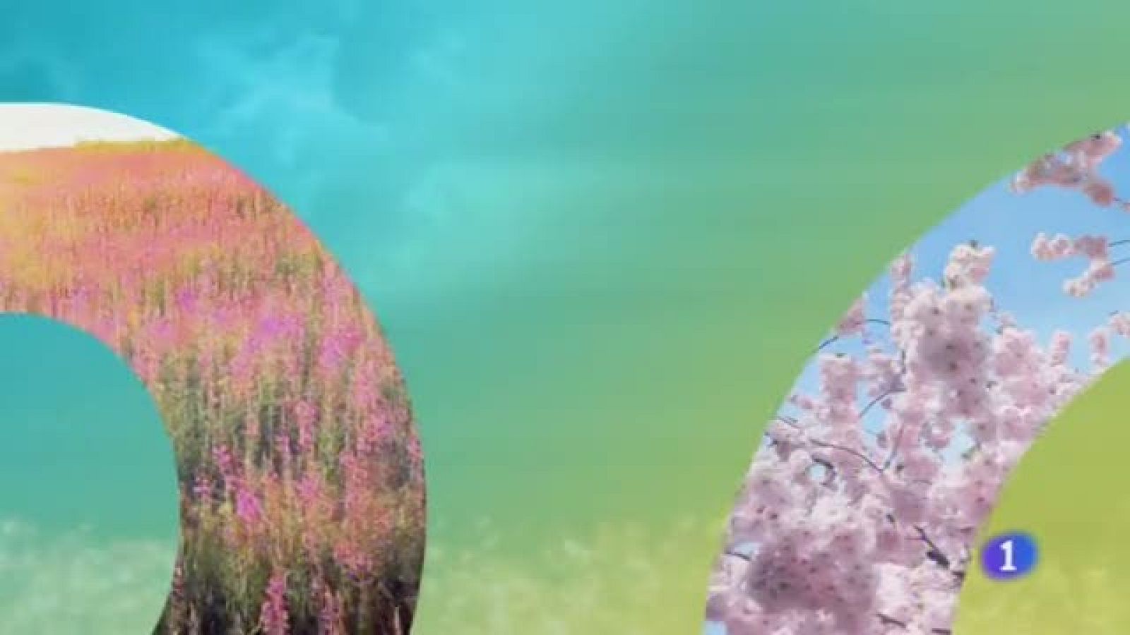 El tiempo en Castilla-La Mancha - 07/06/19 | Ver