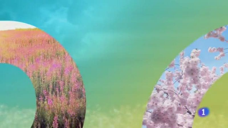 El tiempo en Castilla-La Mancha - 07/06/19 | Ver