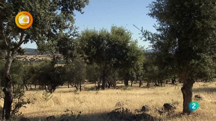 Agrosfera - Eco-esquemas