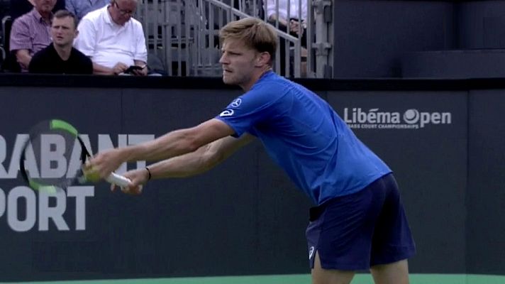 Tenis - ATP 250 Torneo Hertogenbosch: D. Goffin - A. Davidovich