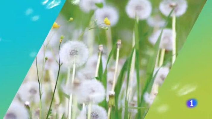 Noticias Aragón - El tiempo en Aragón - 12/06/2019