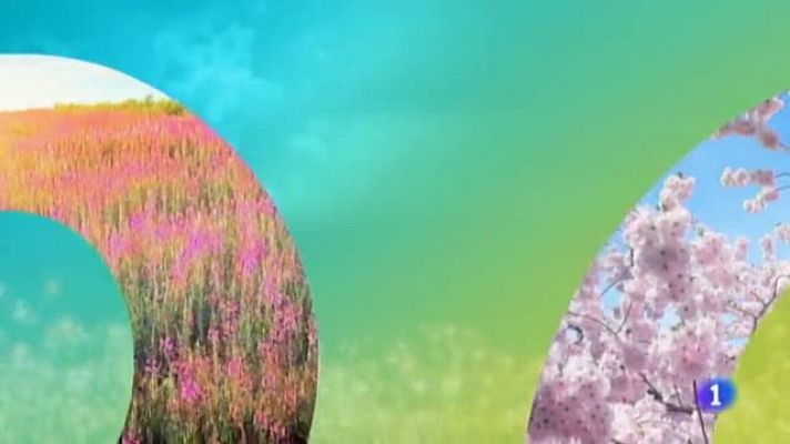 Noticias Murcia - El Tiempo en la Region de Murcia - 12/06/2019