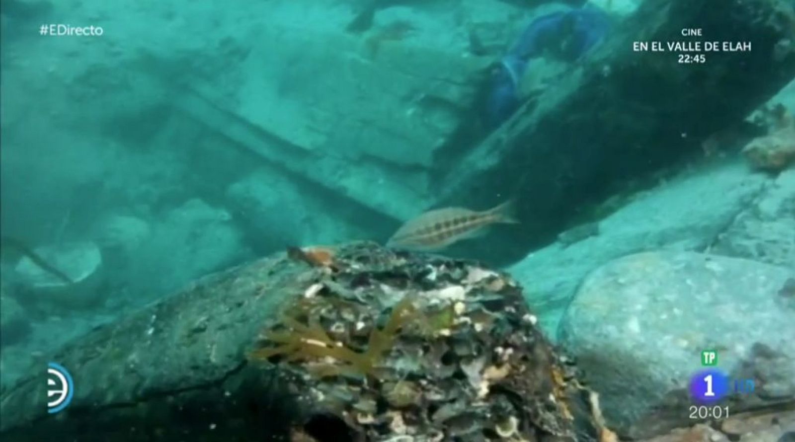 Desenterrando un galeón del siglo XVI - España Directo | Ver