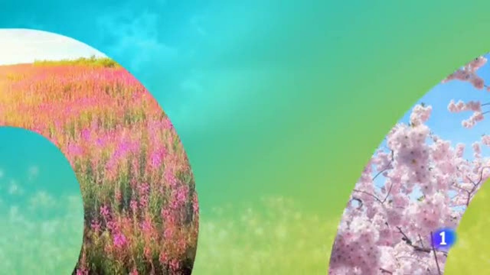 El tiempo en Aragón - 13/06/2019 | Ver