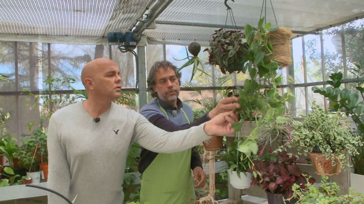 Aquí la Tierra - Un jardín colgante