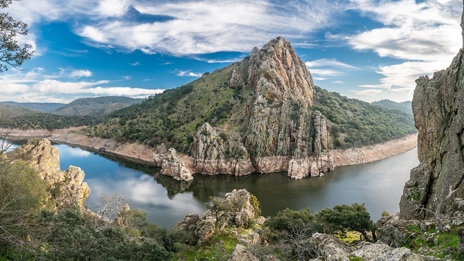 Crónicas - Algo salvaje - ver ahora