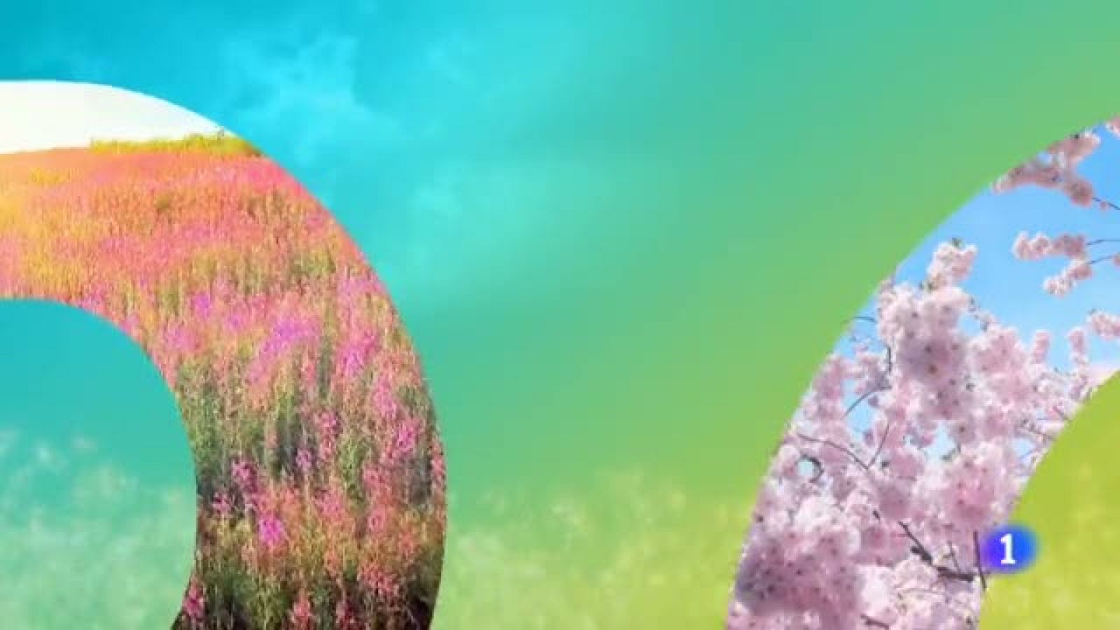 El tiempo en Cantabria - 14/06/19