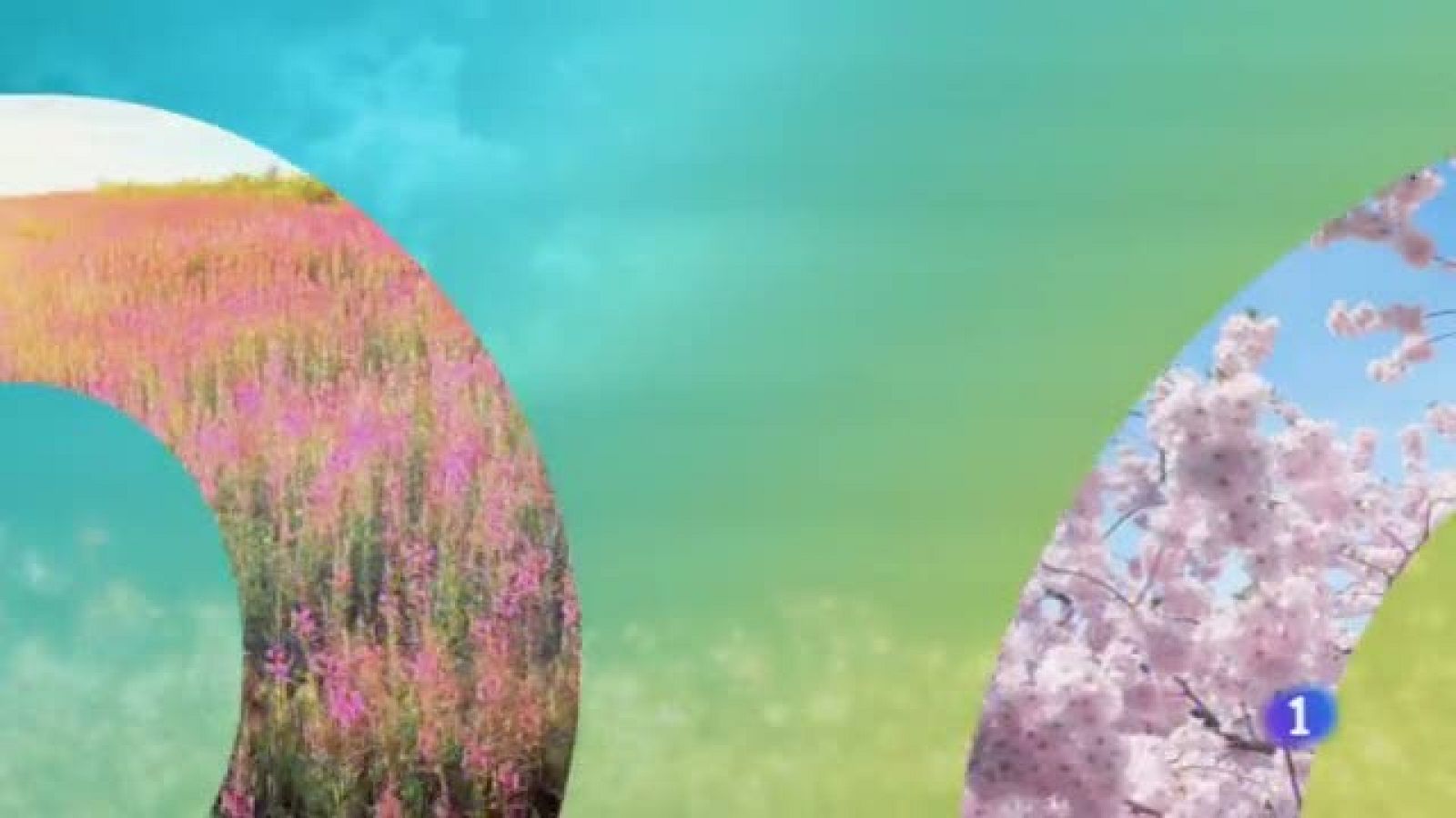 El Tiempo en Castilla-La Mancha - 14/06/19 | Ver