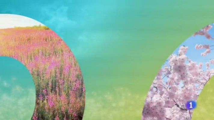 Noticias de Castilla-La Mancha - El Tiempo en Castilla-La Mancha - 14/06/19