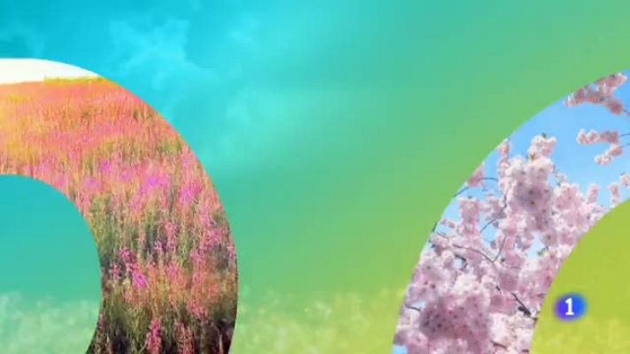 Noticias Aragón - El tiempo en Aragón - 14/06/2019