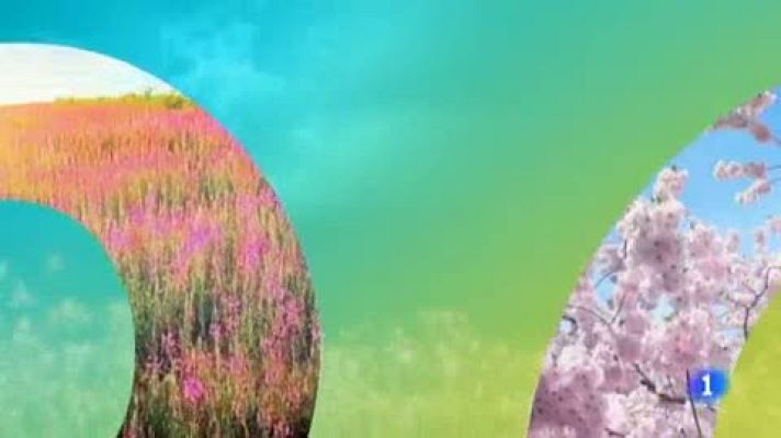 Telenorte - País Vasco - El tiempo en el País Vasco - 14/06/19