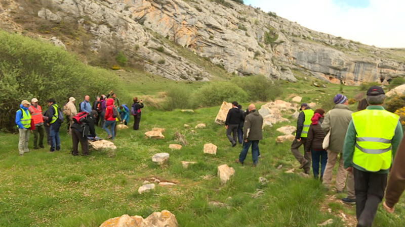 El escarabajo verde - Memoria viva
