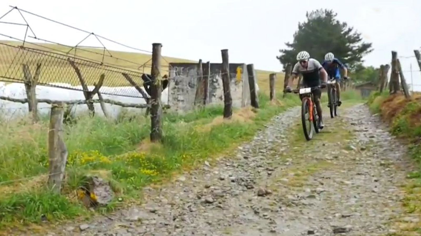 Mountain Bike - Asturias Bike Race - ver ahora
