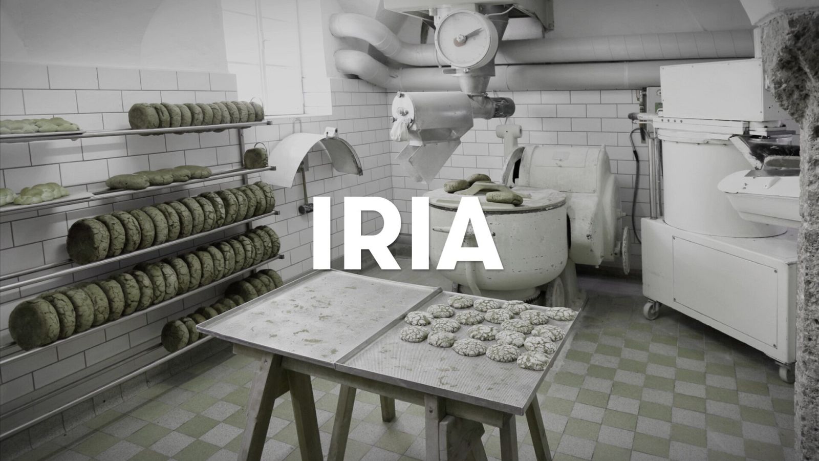 Un retrato a la vida de las 1000 mujeres asesinadas por violencia de género