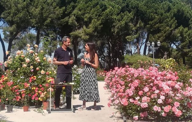 Aquí la Tierra - Un mundo lleno de rosas