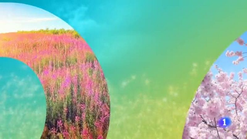 El tiempo en La Rioja - 17/06/19