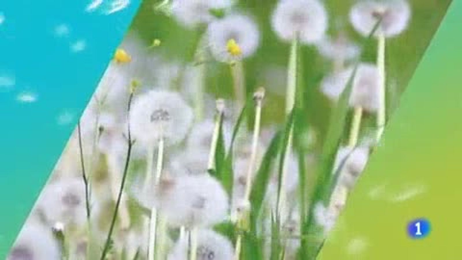 El tiempo en el País Vasco - 17/06/19