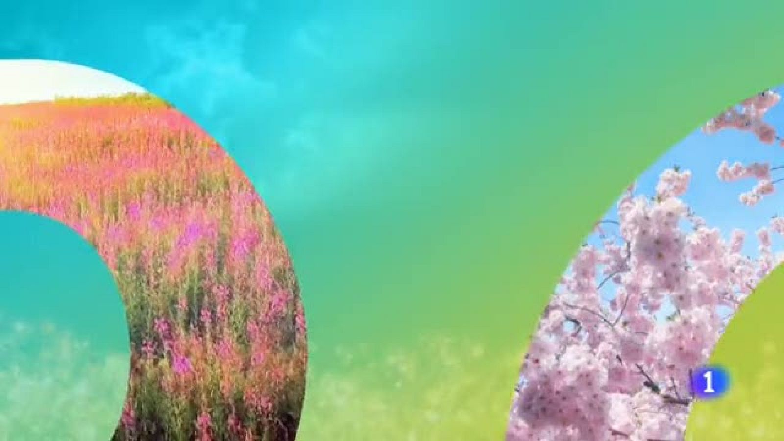 El tiempo en Aragón - 17/06/2019 | Ver