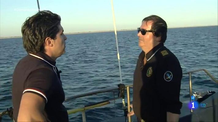 Comando Actualidad - Controles