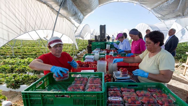 La Seguridad Social suma 68.749 afiliados extranjeros en mayo y marca su máximo histórico