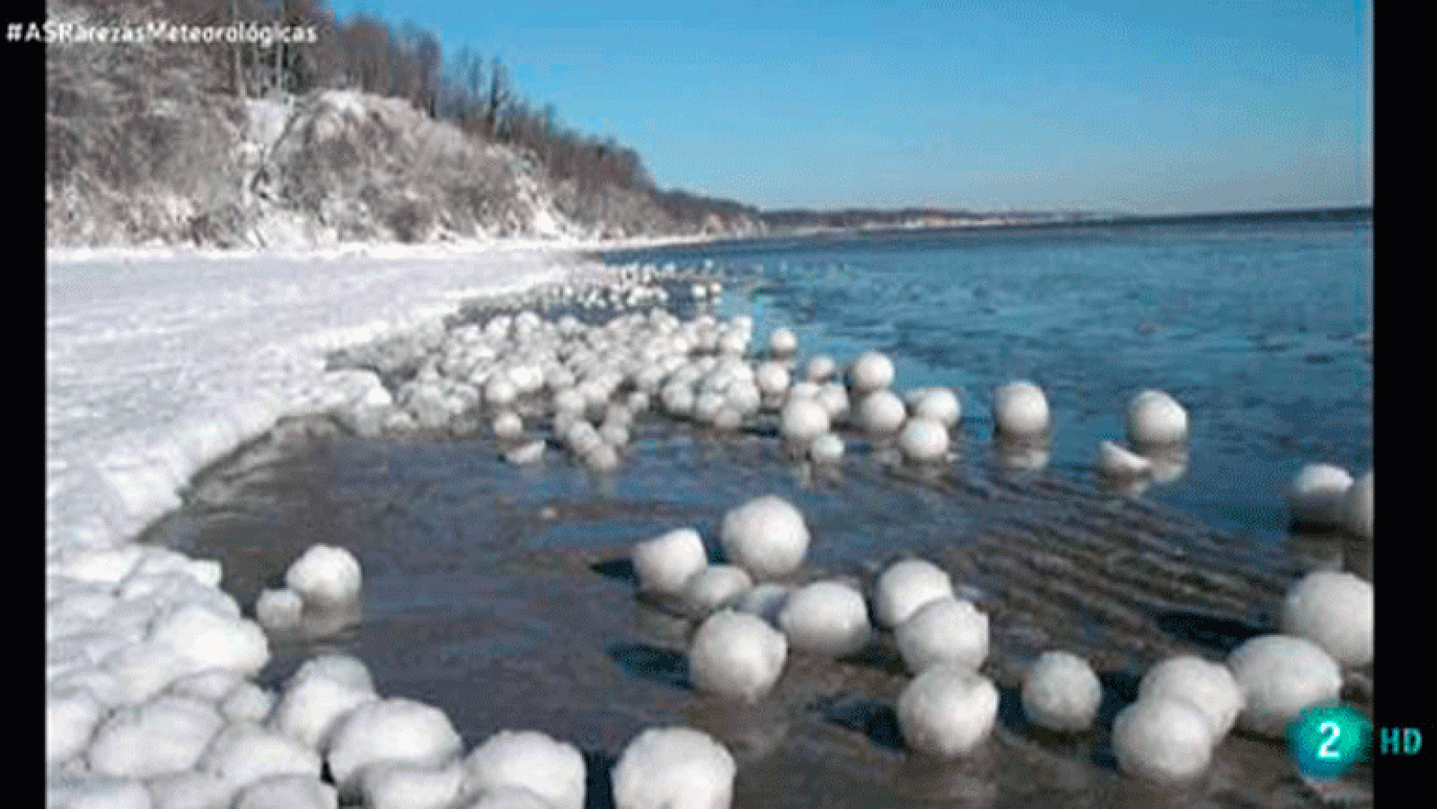 La aventura del saber. meteorólogo José Miguel Viñas que nos explica fenómenos meteorológicos tan extraños lluvia de ranas montaña de nieve rosa.