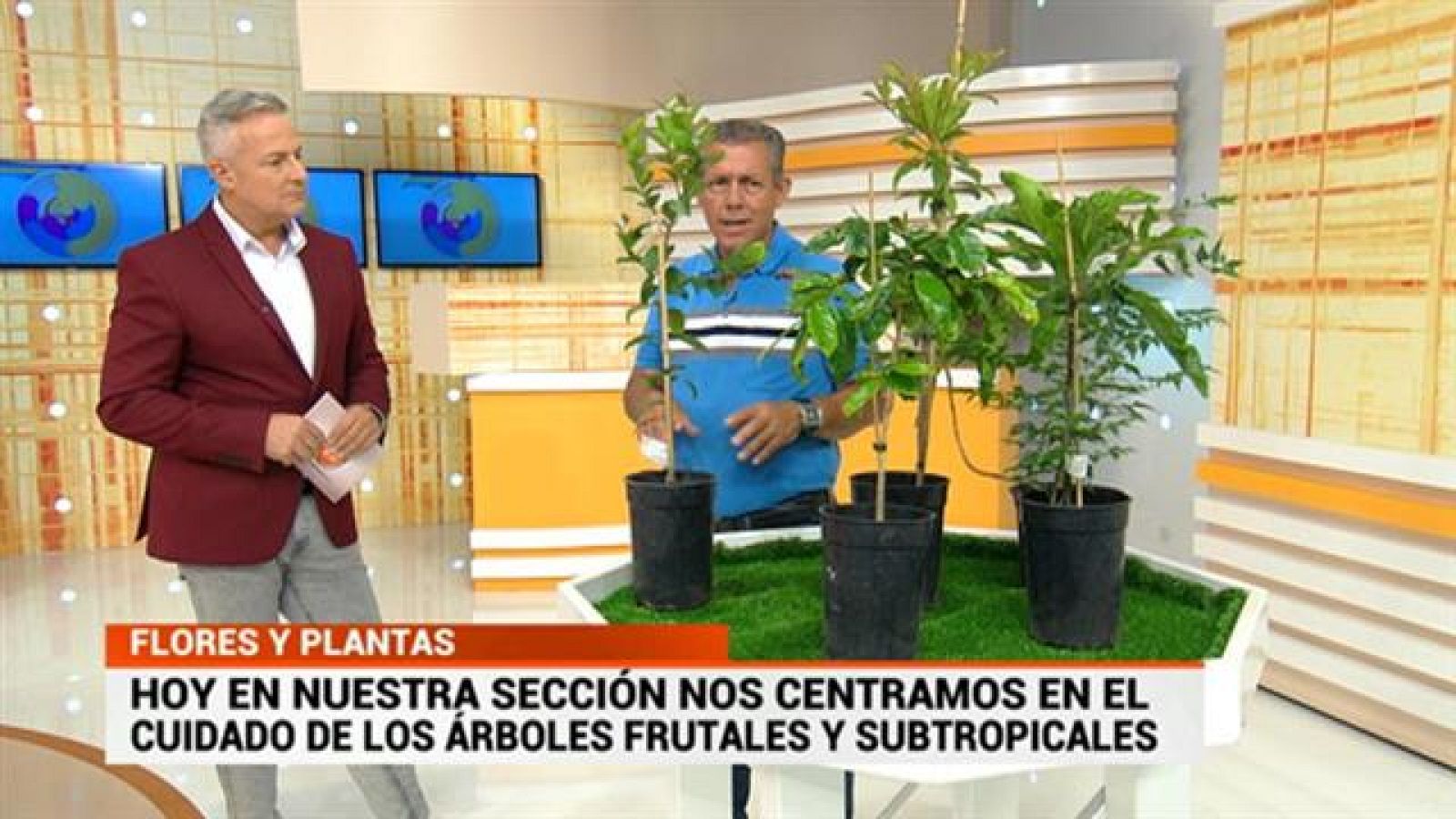 Cerca de ti - 20/06/2019