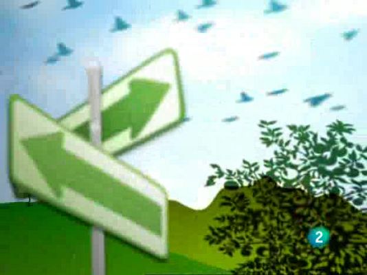 Actívate. El reto del bienestar - Actívate - El reto del bienestar - 19/06/09