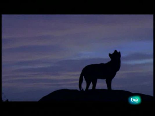 La España salvaje - La costa atlántica