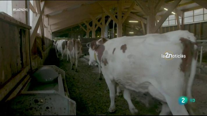 La 2 Noticias - Enganchados a la carne