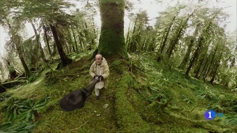 Arranca en Madrid la primera edición de "XR Fest", un festival de artes inmersivas