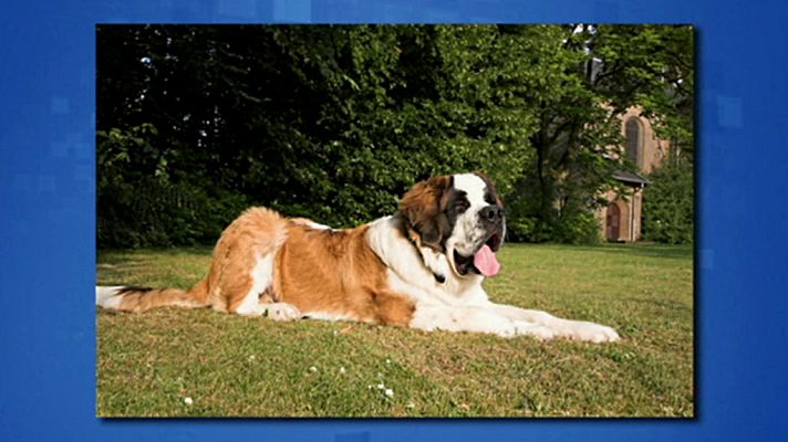 Saber y ganar - Saber y ganar - 25/06/19