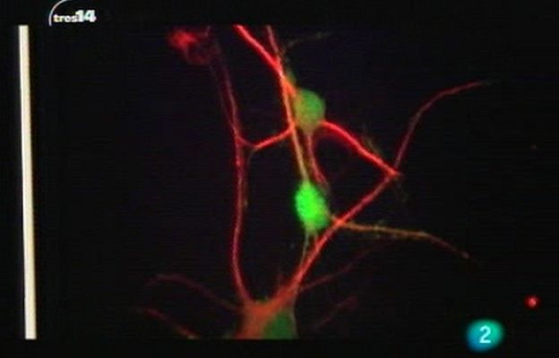 tres14 - Matemáticas y epidemias