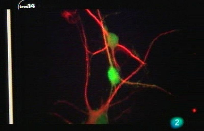 tres14 - Matemáticas y epidemias